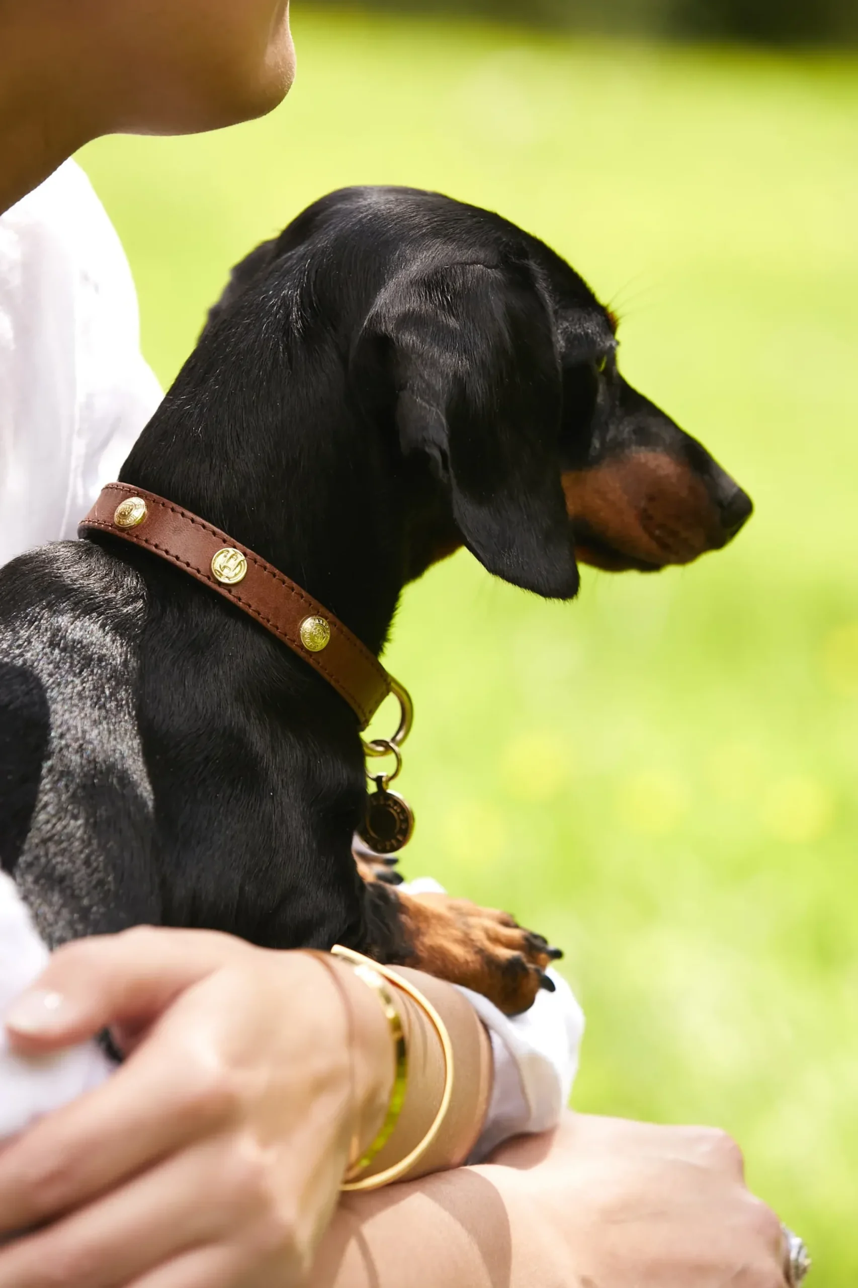 Holland Cooper HC Studded Dog Collar Chestnut Clearance