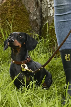 Holland Cooper HC Studded Dog Collar Chestnut Clearance
