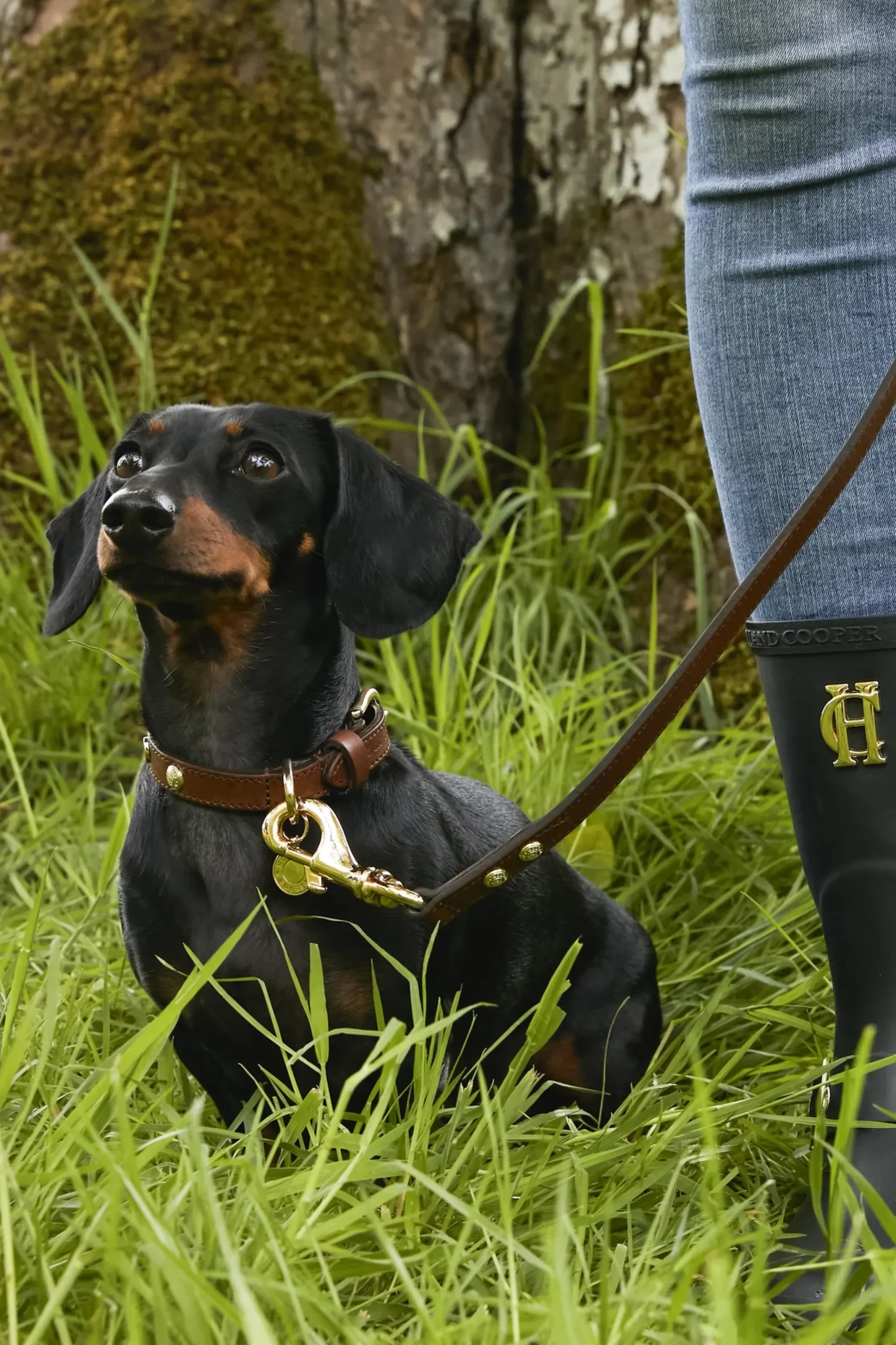 Holland Cooper HC Studded Dog Collar Chestnut Clearance