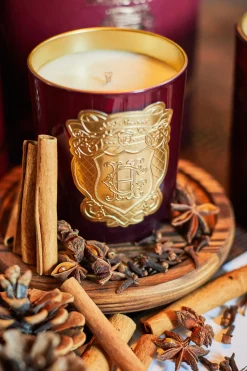 Holland Cooper Single Wick Candle Noel Best